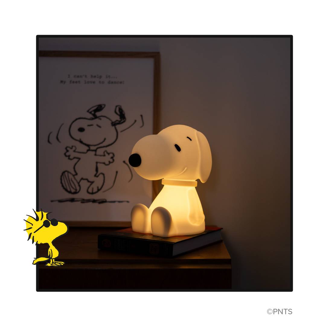 Mr Maria Snoopy First Light 22cm